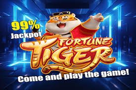 Live Boxing dealer studio on baladatoto slot with professional croupier and multi-camera production